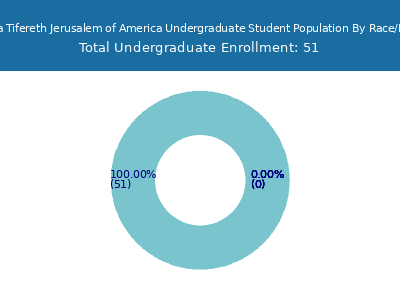 Mesivtha Tifereth Jerusalem of America 2025 Undergraduate Enrollment by Gender and Race chart