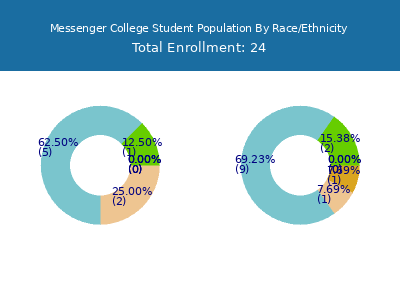 Messenger College 2025 Student Population by Gender and Race chart