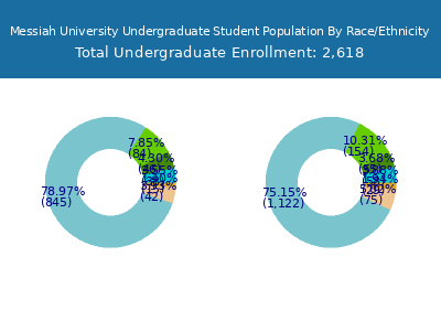Messiah University 2025 Undergraduate Enrollment by Gender and Race chart