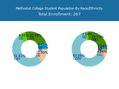 Methodist College 2025 Student Population by Gender and Race chart