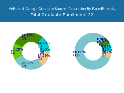 Methodist College 2025 Graduate Enrollment by Gender and Race chart