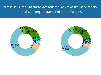 Methodist College 2025 Undergraduate Enrollment by Gender and Race chart