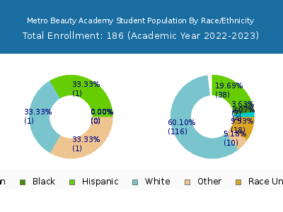 Metro Beauty Academy 2023 Student Population by Gender and Race chart