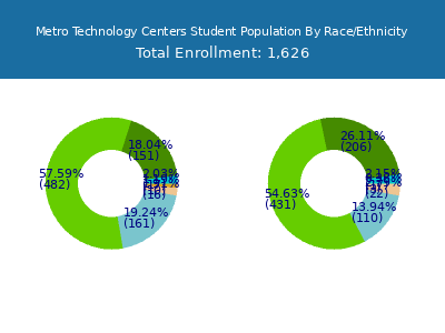 Metro Technology Centers 2025 Student Population by Gender and Race chart