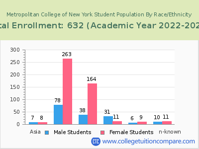 Metropolitan College of New York 2023 Student Population by Gender and Race chart
