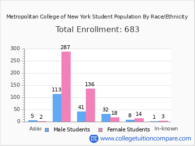 Metropolitan College of New York 2025 Student Population by Gender and Race chart