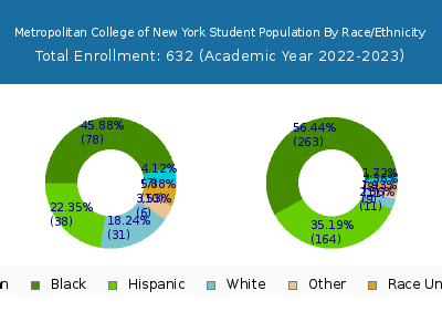 Metropolitan College of New York 2023 Student Population by Gender and Race chart