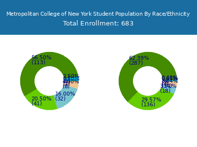 Metropolitan College of New York 2025 Student Population by Gender and Race chart