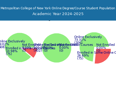 Metropolitan College of New York 2025 Online Student Population chart