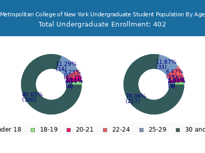 Metropolitan College of New York 2025 Undergraduate Enrollment Age Diversity Pie chart