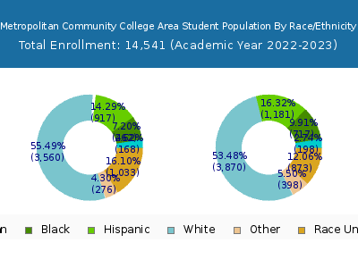 Metropolitan Community College Area 2023 Student Population by Gender and Race chart
