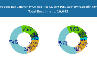 Metropolitan Community College Area 2025 Student Population by Gender and Race chart