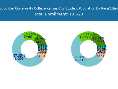 Metropolitan Community College-Kansas City 2025 Student Population by Gender and Race chart