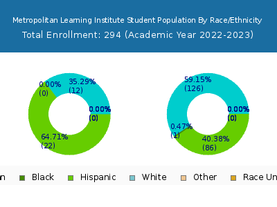 Metropolitan Learning Institute 2023 Student Population by Gender and Race chart