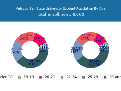 Metropolitan State University 2024 Student Population Age Diversity Pie chart