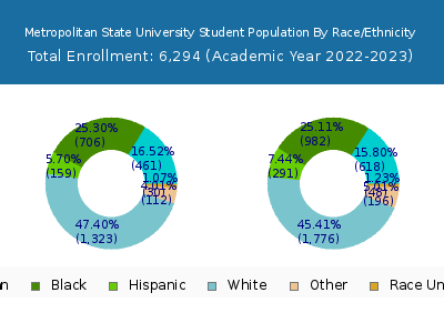 Metropolitan State University 2023 Student Population by Gender and Race chart