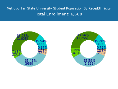 Metropolitan State University 2025 Student Population by Gender and Race chart