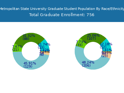 Metropolitan State University 2025 Graduate Enrollment by Gender and Race chart
