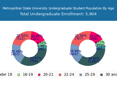 Metropolitan State University 2024 Undergraduate Enrollment Age Diversity Pie chart