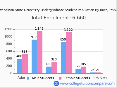 Metropolitan State University 2025 Undergraduate Enrollment by Gender and Race chart