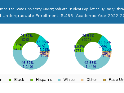 Metropolitan State University 2023 Undergraduate Enrollment by Gender and Race chart