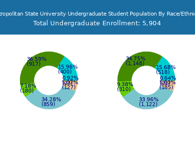 Metropolitan State University 2025 Undergraduate Enrollment by Gender and Race chart