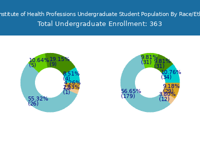 MGH Institute of Health Professions 2025 Undergraduate Enrollment by Gender and Race chart