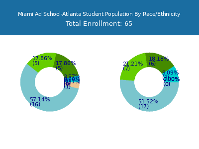 Miami Ad School-Atlanta 2025 Student Population by Gender and Race chart