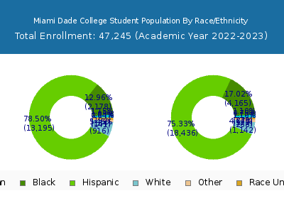 Miami Dade College 2023 Student Population by Gender and Race chart