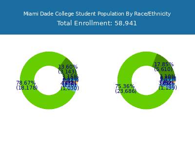 Miami Dade College 2025 Student Population by Gender and Race chart
