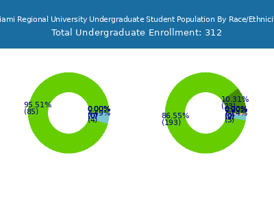 Miami Regional University 2025 Undergraduate Enrollment by Gender and Race chart