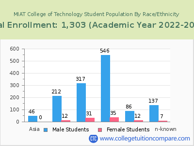 MIAT College of Technology 2023 Student Population by Gender and Race chart