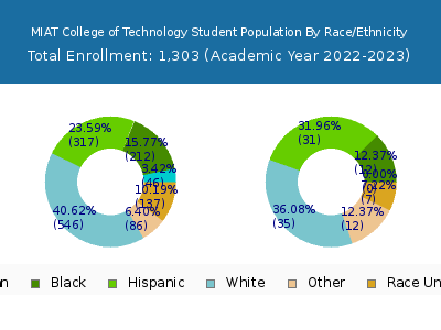 MIAT College of Technology 2023 Student Population by Gender and Race chart