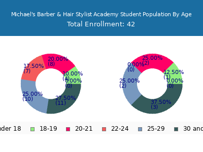 Michael's Barber & Hair Stylist Academy 2024 Student Population Age Diversity Pie chart