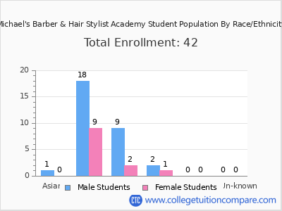 Michael's Barber & Hair Stylist Academy 2025 Student Population by Gender and Race chart