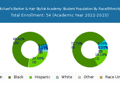 Michael's Barber & Hair Stylist Academy 2023 Student Population by Gender and Race chart