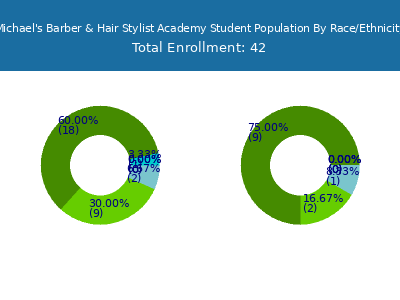 Michael's Barber & Hair Stylist Academy 2025 Student Population by Gender and Race chart