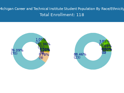 Michigan Career and Technical Institute 2025 Student Population by Gender and Race chart