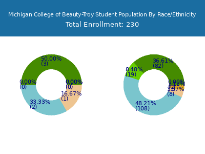 Michigan College of Beauty-Troy 2025 Student Population by Gender and Race chart