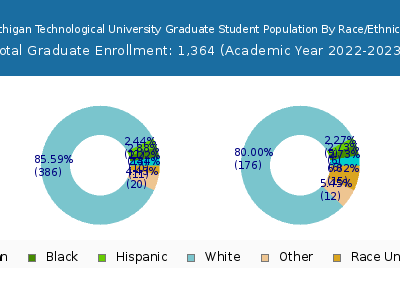 Michigan Technological University 2023 Graduate Enrollment by Gender and Race chart