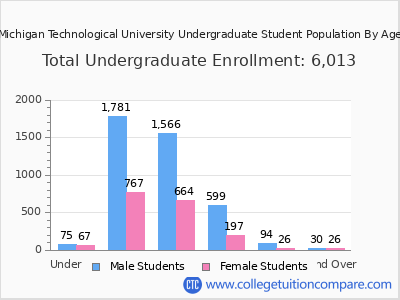 Michigan Technological University 2024 Undergraduate Enrollment by Age chart