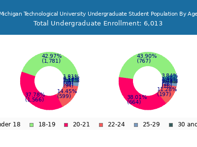 Michigan Technological University 2024 Undergraduate Enrollment Age Diversity Pie chart
