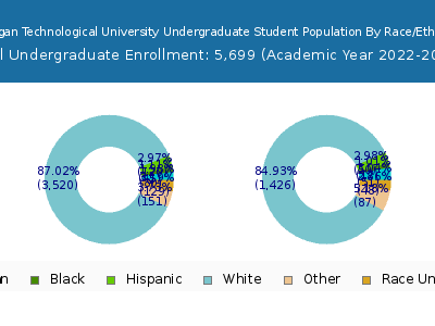 Michigan Technological University 2023 Undergraduate Enrollment by Gender and Race chart