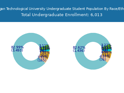 Michigan Technological University 2025 Undergraduate Enrollment by Gender and Race chart