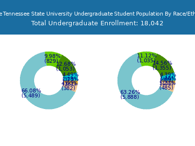 Middle Tennessee State University 2025 Undergraduate Enrollment by Gender and Race chart