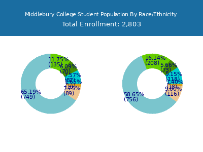 Middlebury College 2025 Student Population by Gender and Race chart