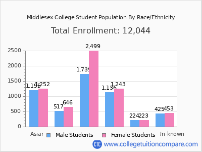Middlesex College 2025 Student Population by Gender and Race chart