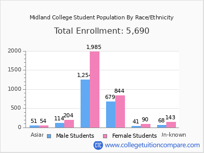 Midland College 2025 Student Population by Gender and Race chart