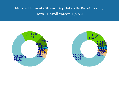 Midland University 2025 Student Population by Gender and Race chart