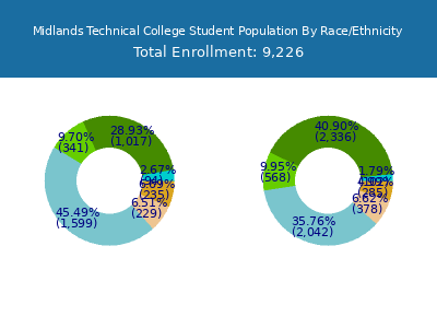 Midlands Technical College 2025 Student Population by Gender and Race chart